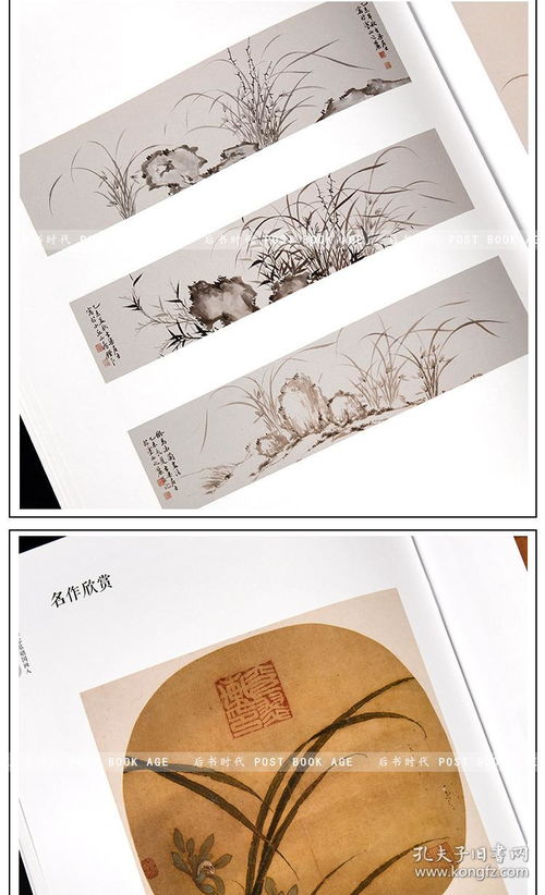 墨韵兰香 零基础国画入门完全指南——以《湖南美术出版社兰谱》为例