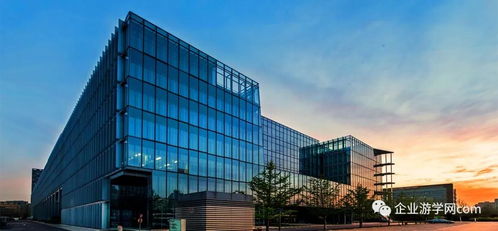 探索“简单可依赖”的互联网搜索产品及美术图案设计服务